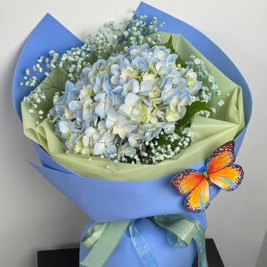 Bouquet of hydrangeas and gypsophila