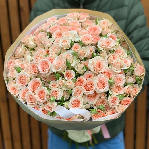 Bush roses