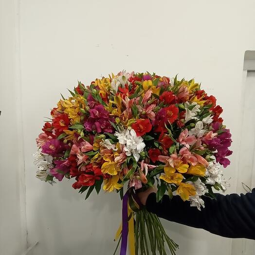 Альстромерия микс большой