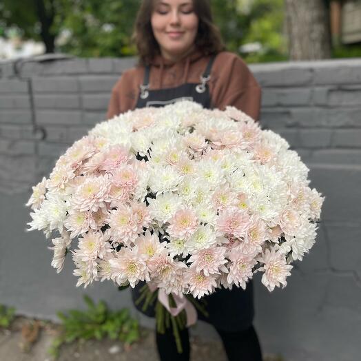 35 Кустовых хризантем