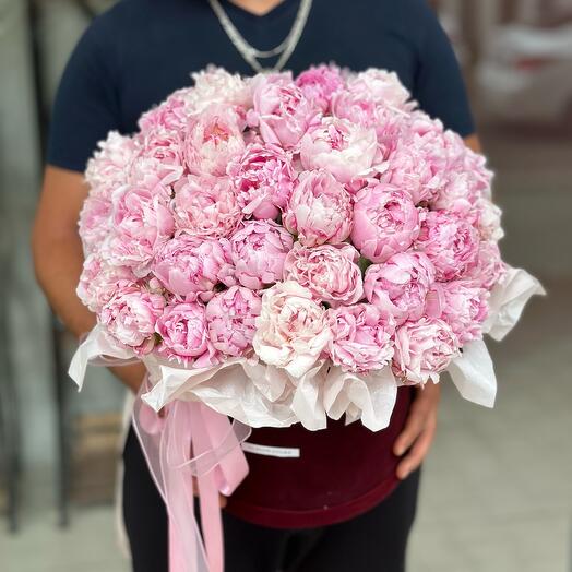 51 peonies in box