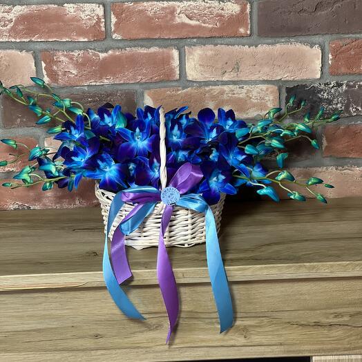 Flores en la cesta soy una orquídea brillante