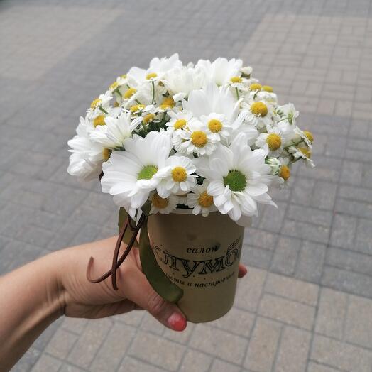 Ромашки презент