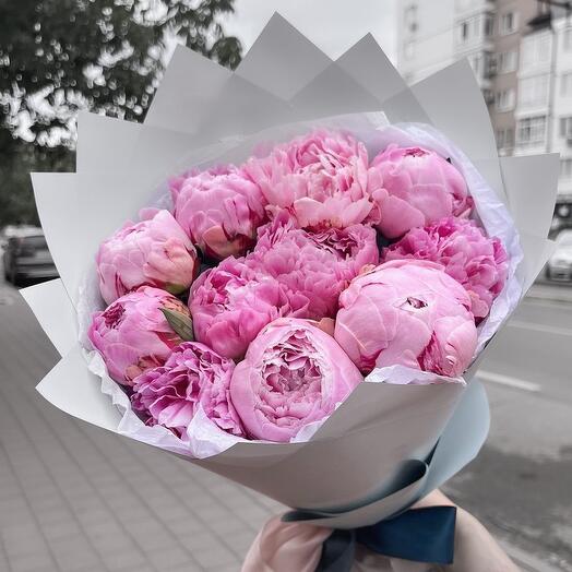 11 пионов