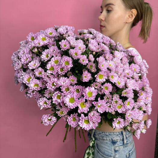 Сиреневая хризантема сантини