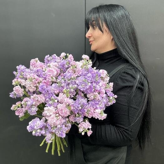 19 МАТИОЛА