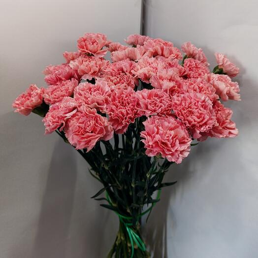 Гвоздика розовая Голландия 30 штук