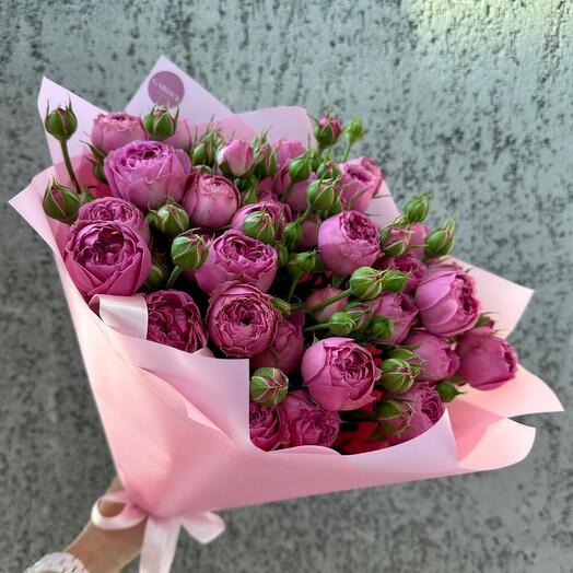 Misty bubble Bush rose