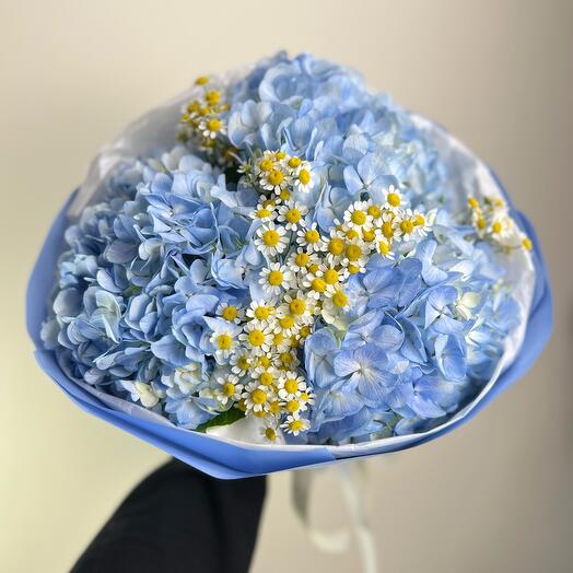 Blue hydrangeas with a cute daisy