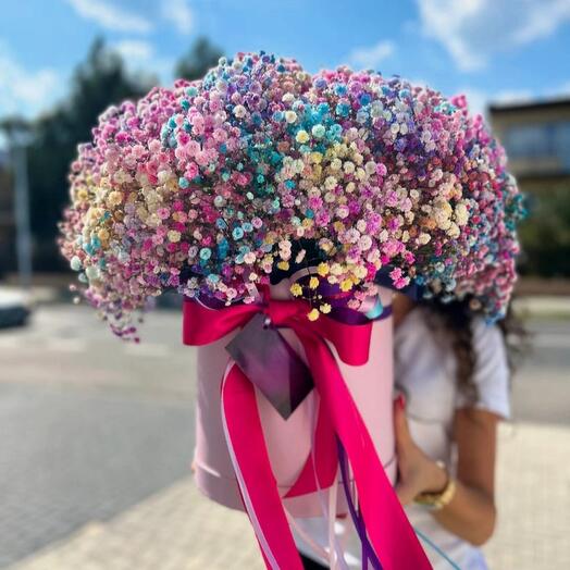 Гипсофилы в коробке