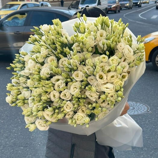 White eustoma