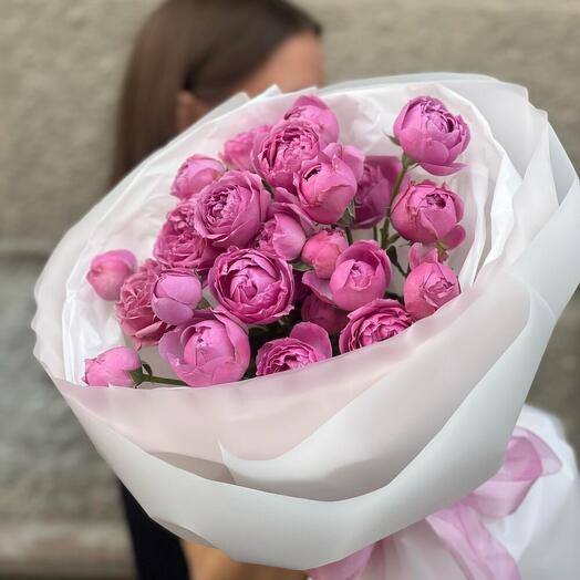 Мисти баблс