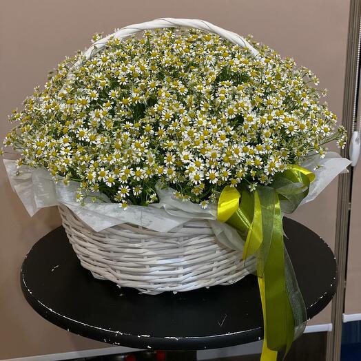 Корзина с ромашками