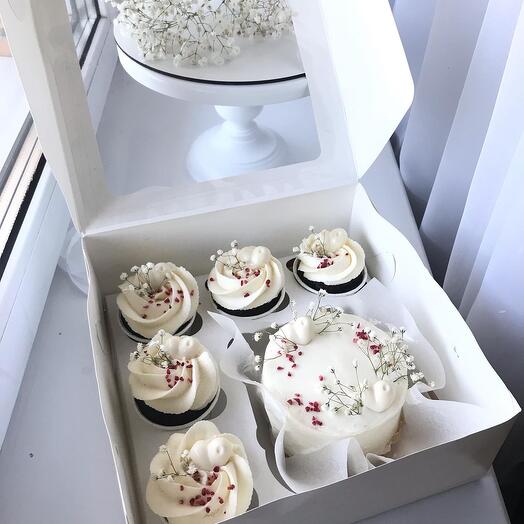 Conjunto de pastel de Bento y cupcakes