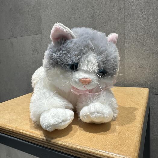 Котик (мяукает)