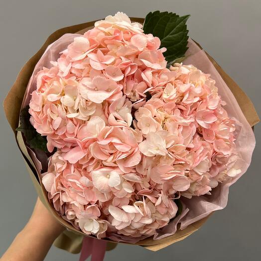 Delicate bouquet of Hydrangeas in craft