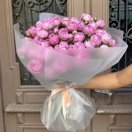 Мисти моно