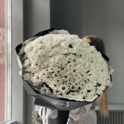 Mono from bush chrysanthemum