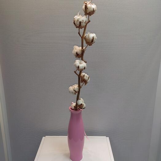 Ваза и хлопок натуральный