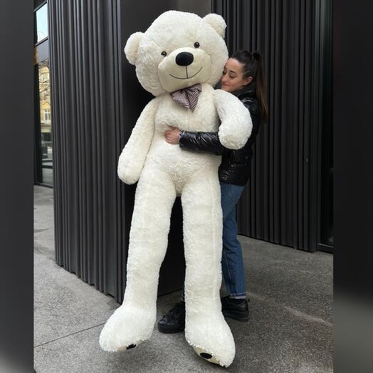 Nəhəng oyuncaq ayı 🧸