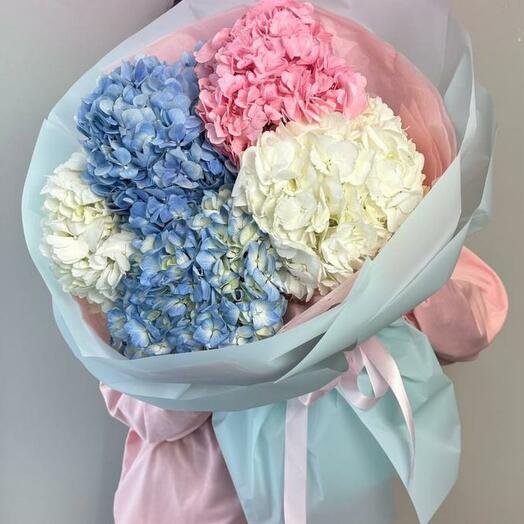 Воздушные гортензии