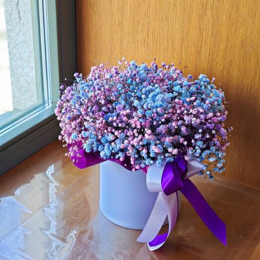 Цветная гипсофила в коробочке