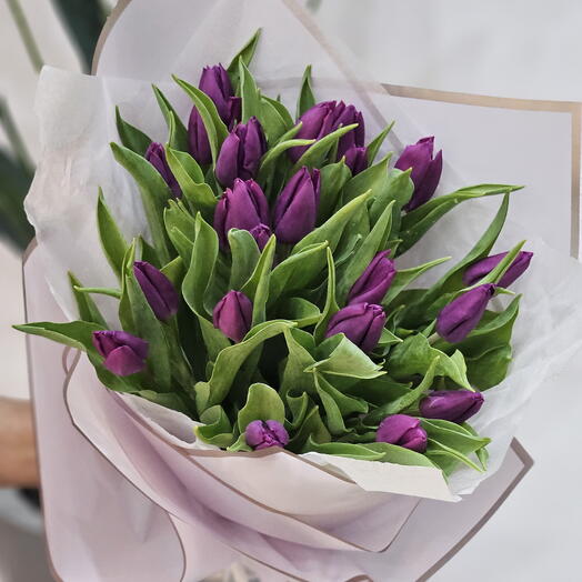 24 purple tulips