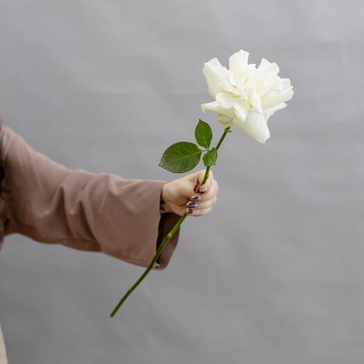 Lace white rose, from 5 pieces