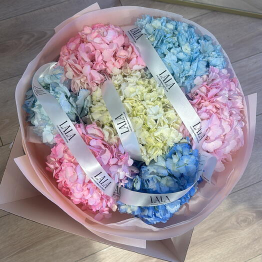 Гортензия 7шт