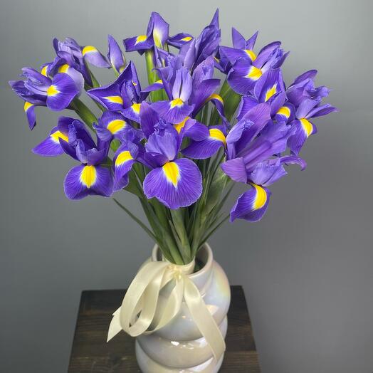 Irises 17 pieces