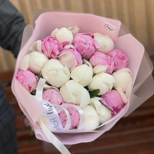 Пионы микс белые с розовыми