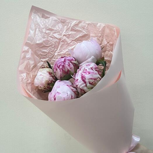 Пионы Сара крупные розовые peony, peonie