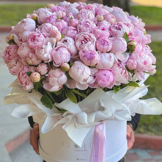 XXL box with Italian peonies