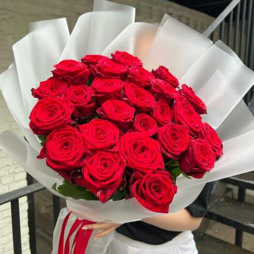 Роза красная 21  шт