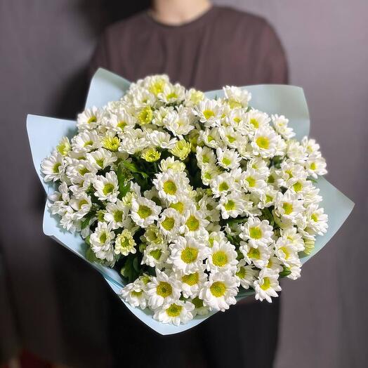 Bouquet of white daisies (chrysanthemums)