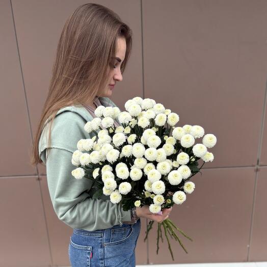 Хризантема Кустовая «Ньютон» 9шт