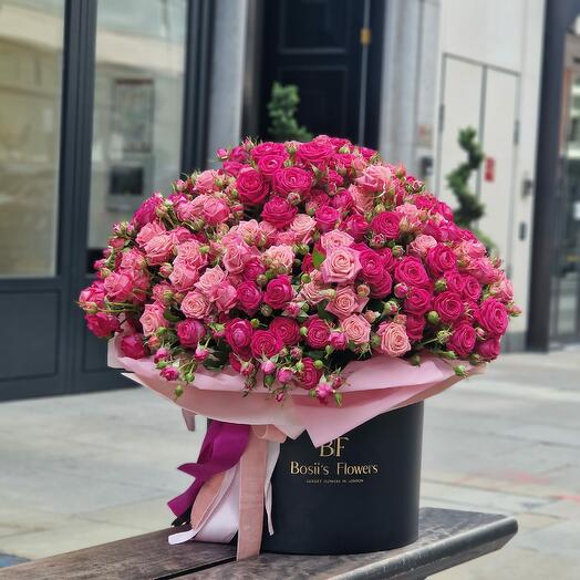 50 Luxury Spray Roses