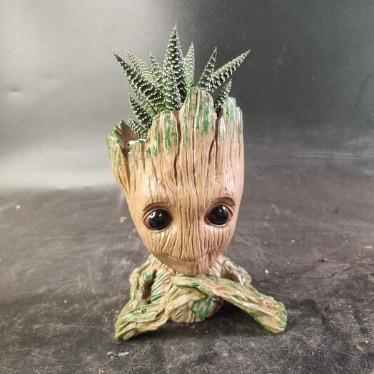 Planter Groot with succulent haworthia