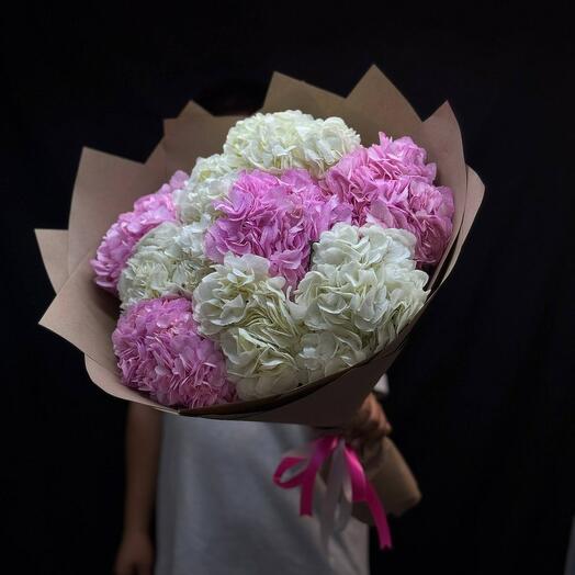 Гортензий микс 11 шт🌸