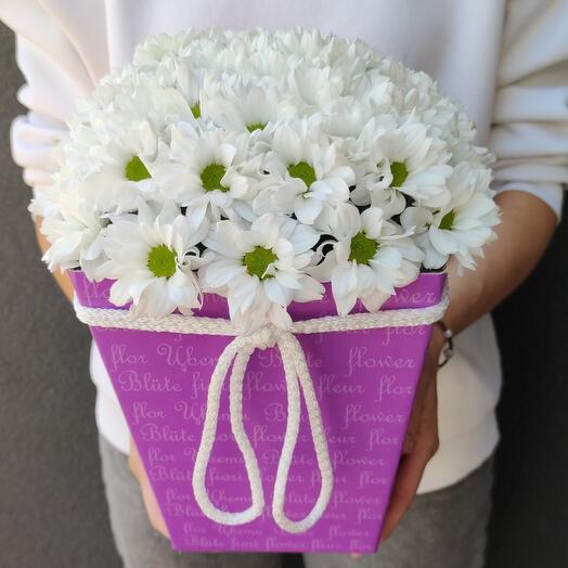 Хризантема в коробке