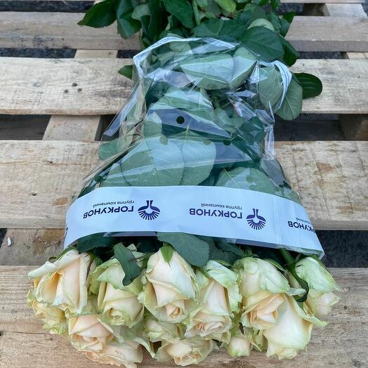 Пачка (15 штук) роз 40 см, Пич Аваланж