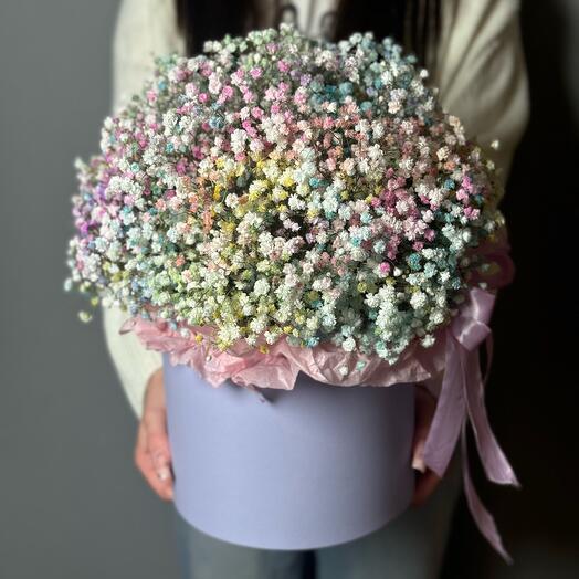 Райдужна гіпсофіла в коробці XL