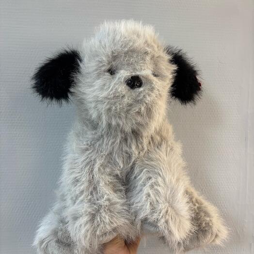 Собачка друг