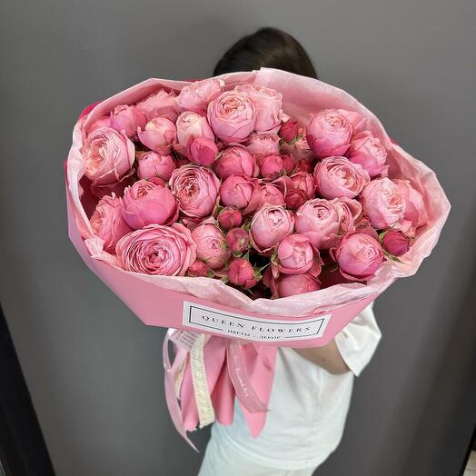 Моно Сильва Пинк