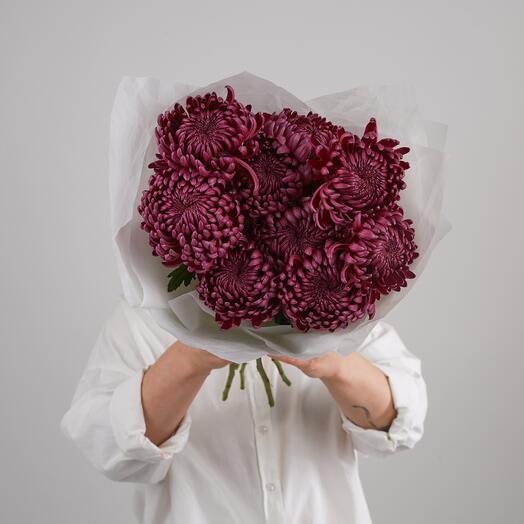 Bouquet of 9 wine chrysanthemums curlers. BOUQUET 401