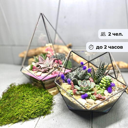 Растительный рай.  Индивидуальный мастер-класс по созданию флорариума