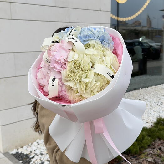 Облачко из гортензии