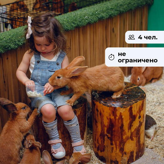 Всё как у зверей. Посещение зоопарка в Токсово