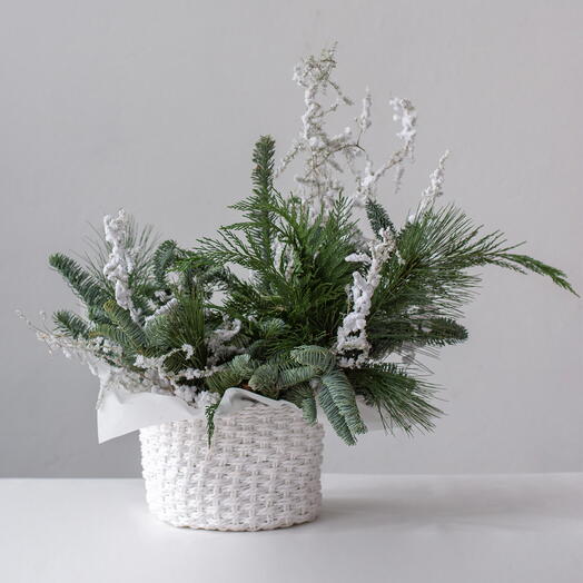 Микс живой хвои в корзине (размер L, корзина 20 см)