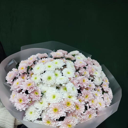 Букет из нежных кустовых хризантем Моно